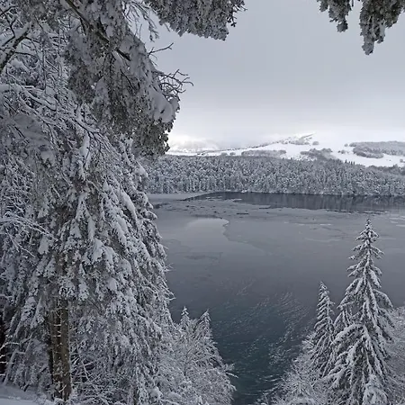 Lejlighed T2 Dans Calme - Proche Des Thermes Et Du Centre Châtel-Guyon
